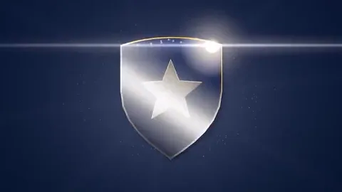 Replay Crest stinger